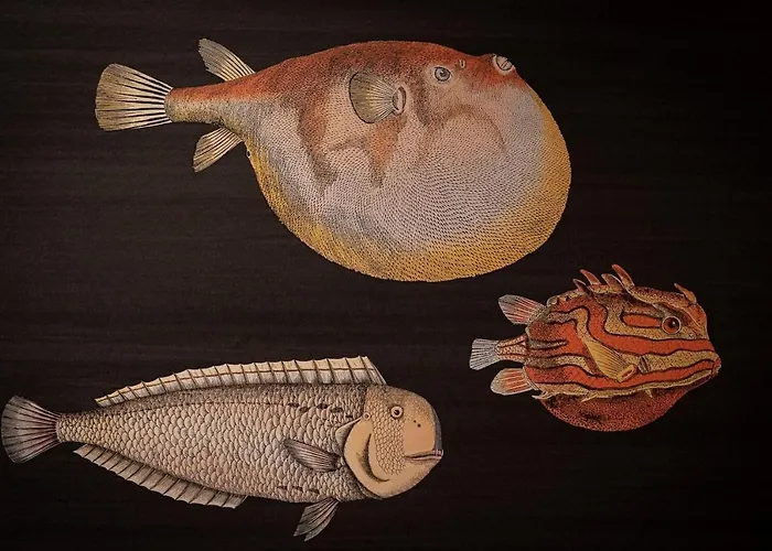 Reetdachhaus Reetperle Reetdachhaus Reetperle Ost Сasa de vacaciones